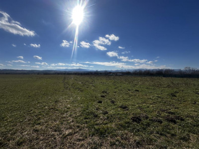 Teren de vanzare 2200 mp cu deschidere de 28 ml