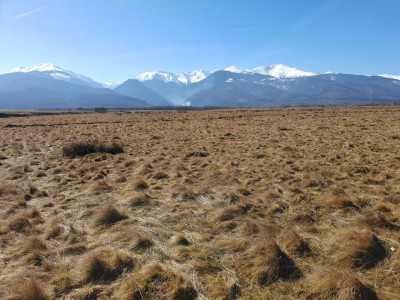 Teren extravilan in suprafata de 1000 mp pretabil pentru afacerea ta