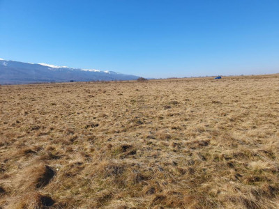 Terenuri de vanzare Gura Vaii imagine mica 1