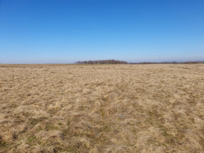 Teren de vanzare in zaona extravilanului comunei Recea 600 mp