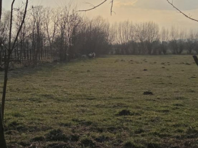 Terenuri de vanzare Fagaras imagine mica 1