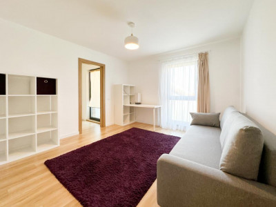 Case de vanzare Cluj-Napoca Europa imagine mica 14