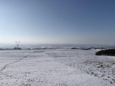 Terenuri de vanzare Daia imagine mica 1