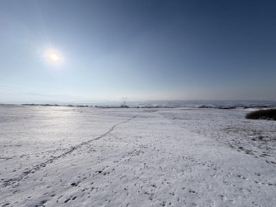 Terenuri de vanzare Daia imagine mica 2