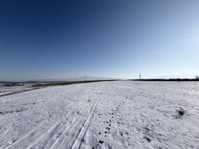 Terenuri de vanzare Daia imagine mica 3