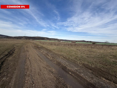 Terenuri de vanzare Fagaras imagine mica 2