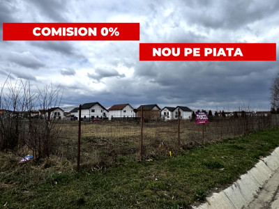 Terenuri de vanzare Sura Mica imagine mica 1