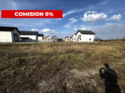 Terenuri de vanzare Sura Mica imagine mica 1