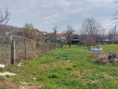 Case de inchiriat Cisnadioara imagine mica 10