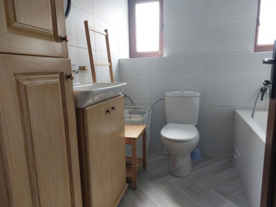 Case de inchiriat Cisnadioara imagine mica 17