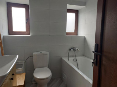 Case de inchiriat Cisnadioara imagine mica 18