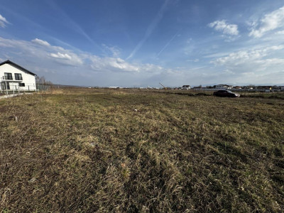 Terenuri de vanzare Sura Mica imagine mica 2