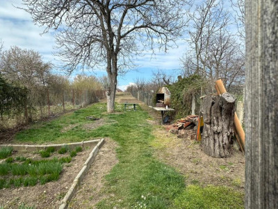 Case de vanzare Sibiu Turnisor imagine mica 11