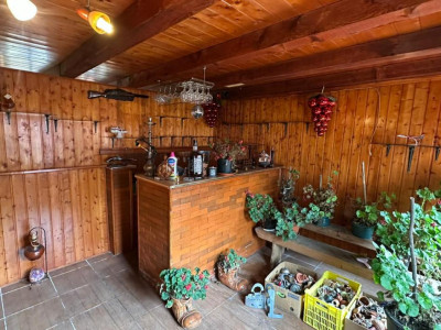 Case de vanzare Sibiu Turnisor imagine mica 18