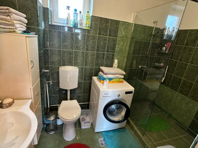 Case de vanzare Sibiu Turnisor imagine mica 19