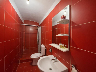 Apartamente de vanzare Sibiu Central imagine mica 10