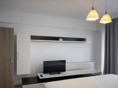 Apartamente de inchiriat Sibiu Doamna Stanca imagine mica 2