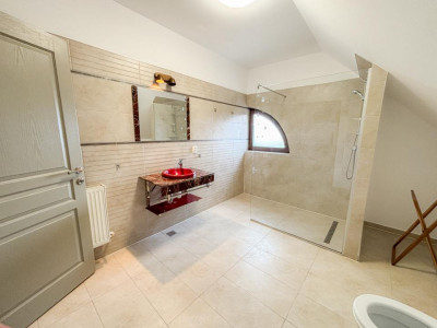 Case de inchiriat Cluj-Napoca Buna-Ziua imagine mica 5