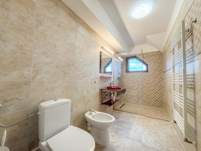 Case de inchiriat Cluj-Napoca Buna-Ziua imagine mica 8