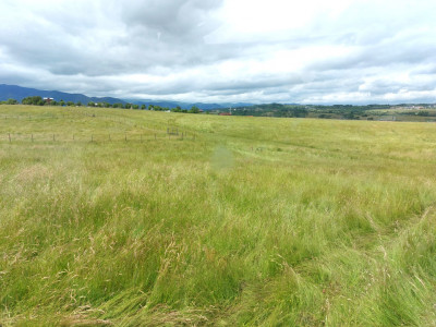 Terenuri de vanzare Cisnadie imagine mica 2