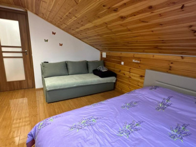 Case de vanzare Sibiu Piata Cluj imagine mica 12