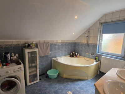 Case de vanzare Sebes imagine mica 9