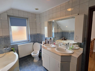 Case de vanzare Sebes imagine mica 10