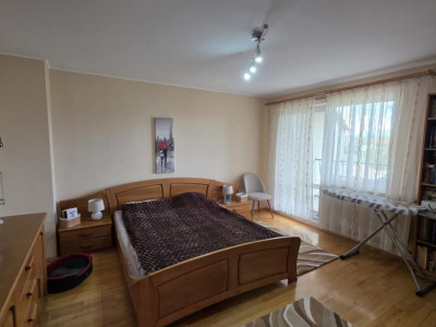 Case de vanzare Sebes imagine mica 12