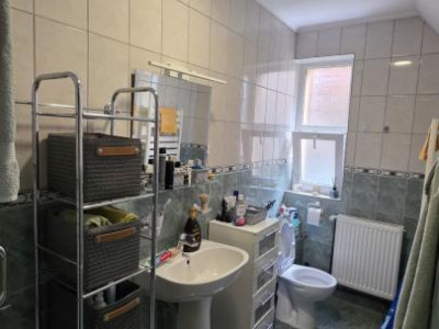 Case de vanzare Sebes imagine mica 13