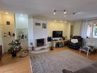 Case de vanzare Sebes imagine mica 16