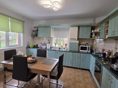 Case de vanzare Sebes imagine mica 17