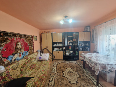 Case de vanzare Rasinari imagine mica 4