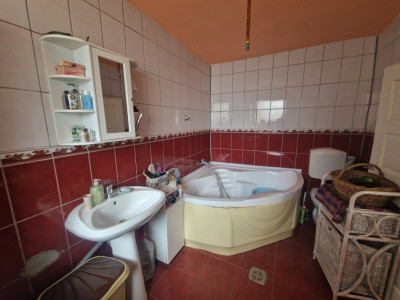 Case de vanzare Rasinari imagine mica 8