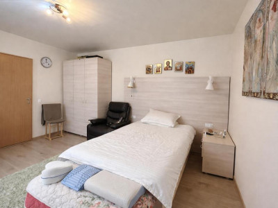 Case de vanzare Sibiu Turnisor imagine mica 2