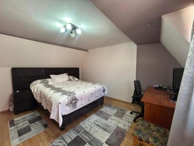 Case de vanzare Sibiu Turnisor imagine mica 30