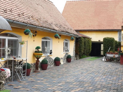 Case de inchiriat Cristian imagine mica 7