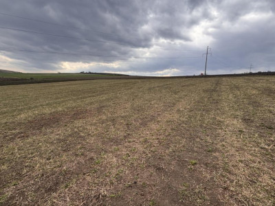 Terenuri de vanzare Sura Mare imagine mica 2