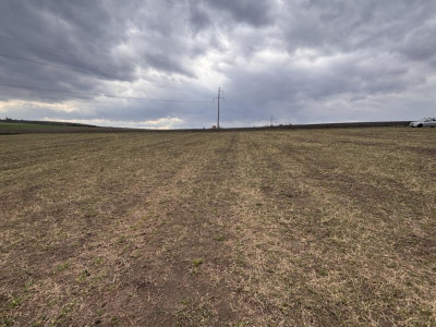 Terenuri de vanzare Sura Mare imagine mica 3