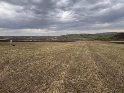 Terenuri de vanzare Sura Mare imagine mica 4