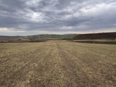 Terenuri de vanzare Sura Mare imagine mica 5