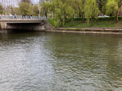 Apartamente de inchiriat Cluj-Napoca Centru imagine mica 8