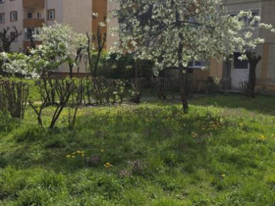 Apartamente de vanzare Sebes imagine mica 11