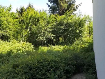 Case de vanzare Cluj-Napoca Gheorgheni imagine mica 4