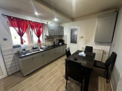 Case de vanzare Daia imagine mica 7