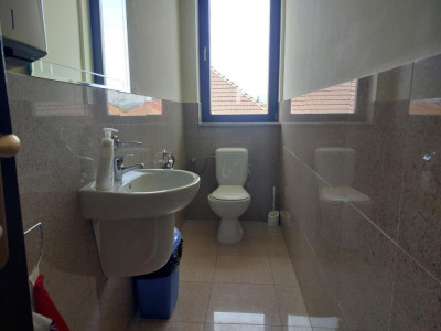 Spatii birouri de inchiriat Sibiu Sub Arini imagine mica 9