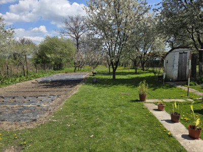 Case de vanzare Beclean imagine mica 4