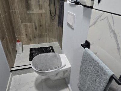 Apartamente de vanzare Sibiu Lazaret imagine mica 8