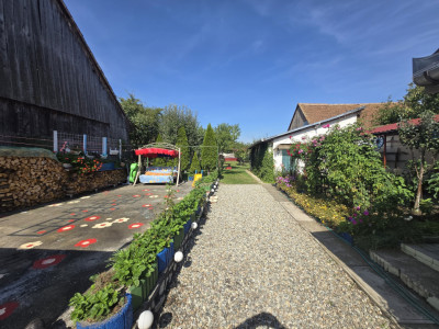 Case de vanzare Sura Mica imagine mica 10