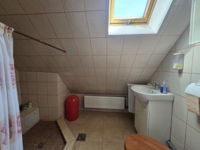 Case de vanzare Sura Mica imagine mica 15