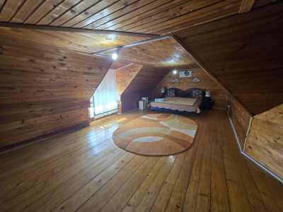 Case de vanzare Sura Mica imagine mica 16